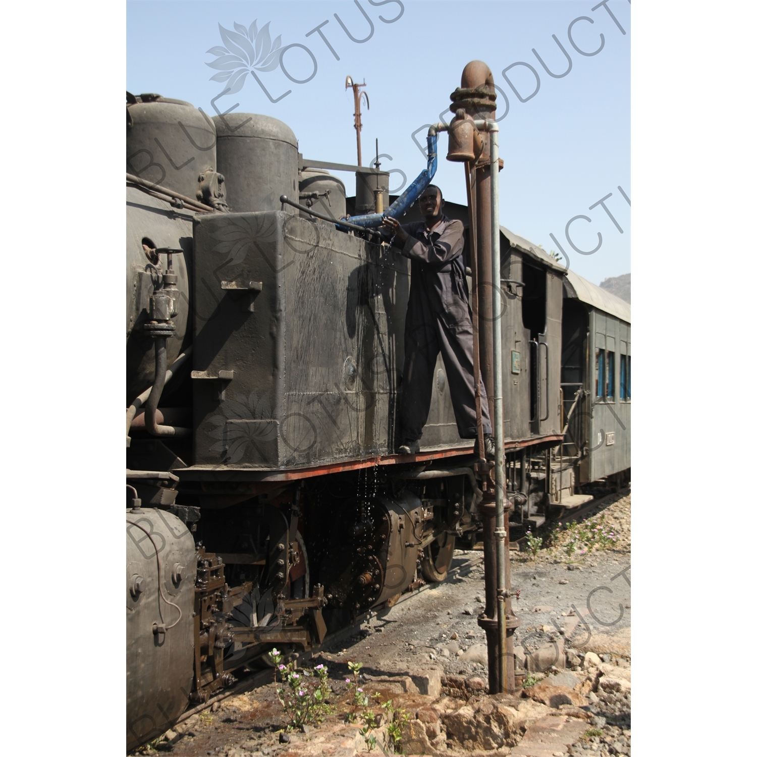 Engineer Filling a Vintage Steam Engine with Water on the Asmara to Massawa Railway