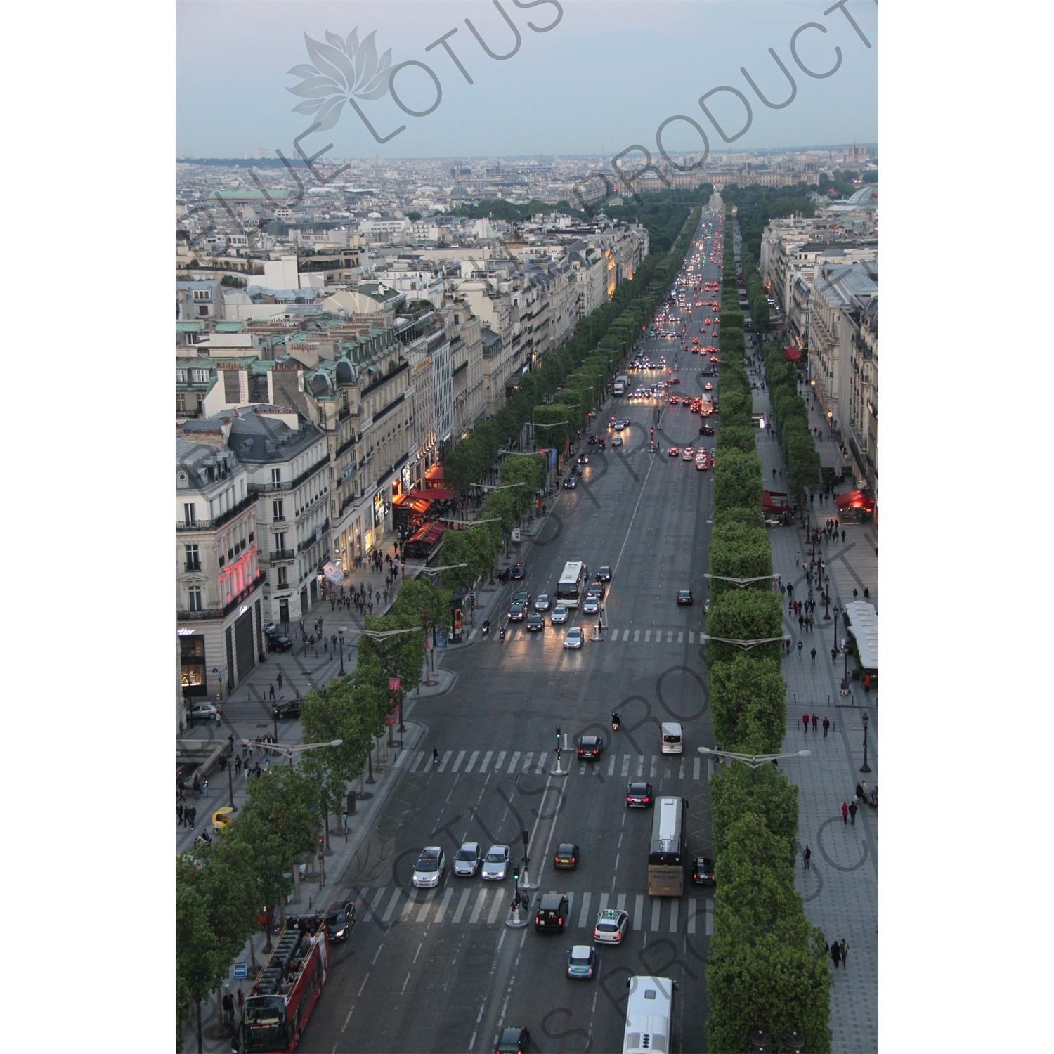 Champs-Elysées from the Arc de Triomphe de l'Étoile in Paris