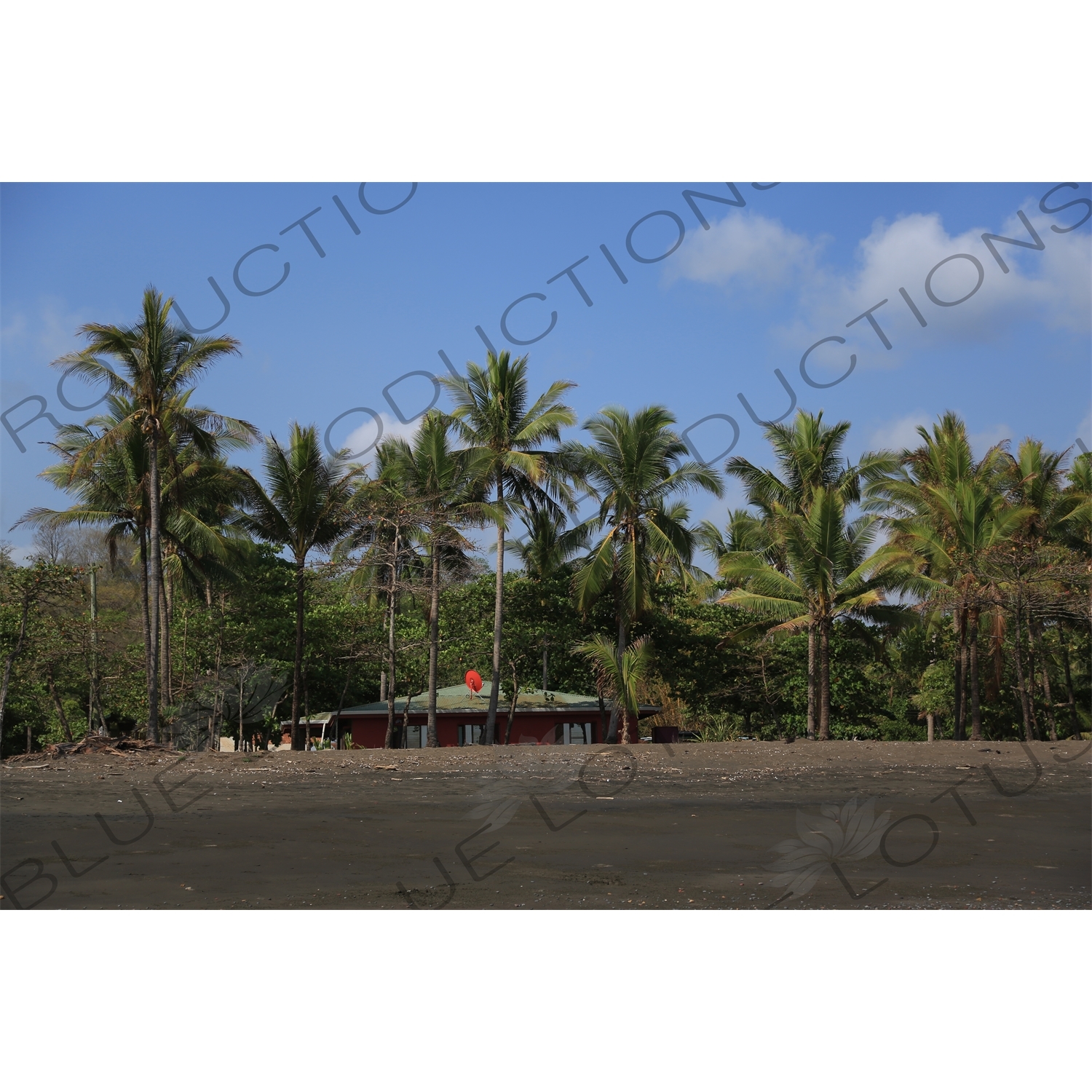 House on a Beach in Nosara