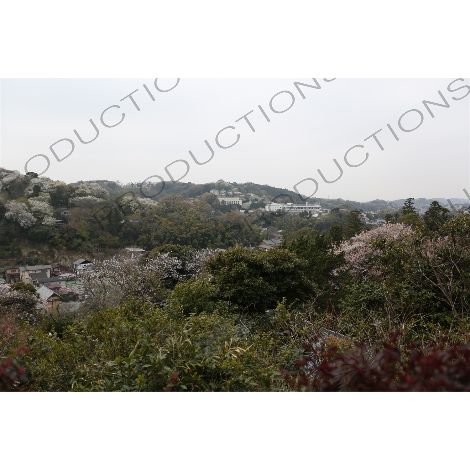 Hills Surrounding Engaku-ji in Kamakura