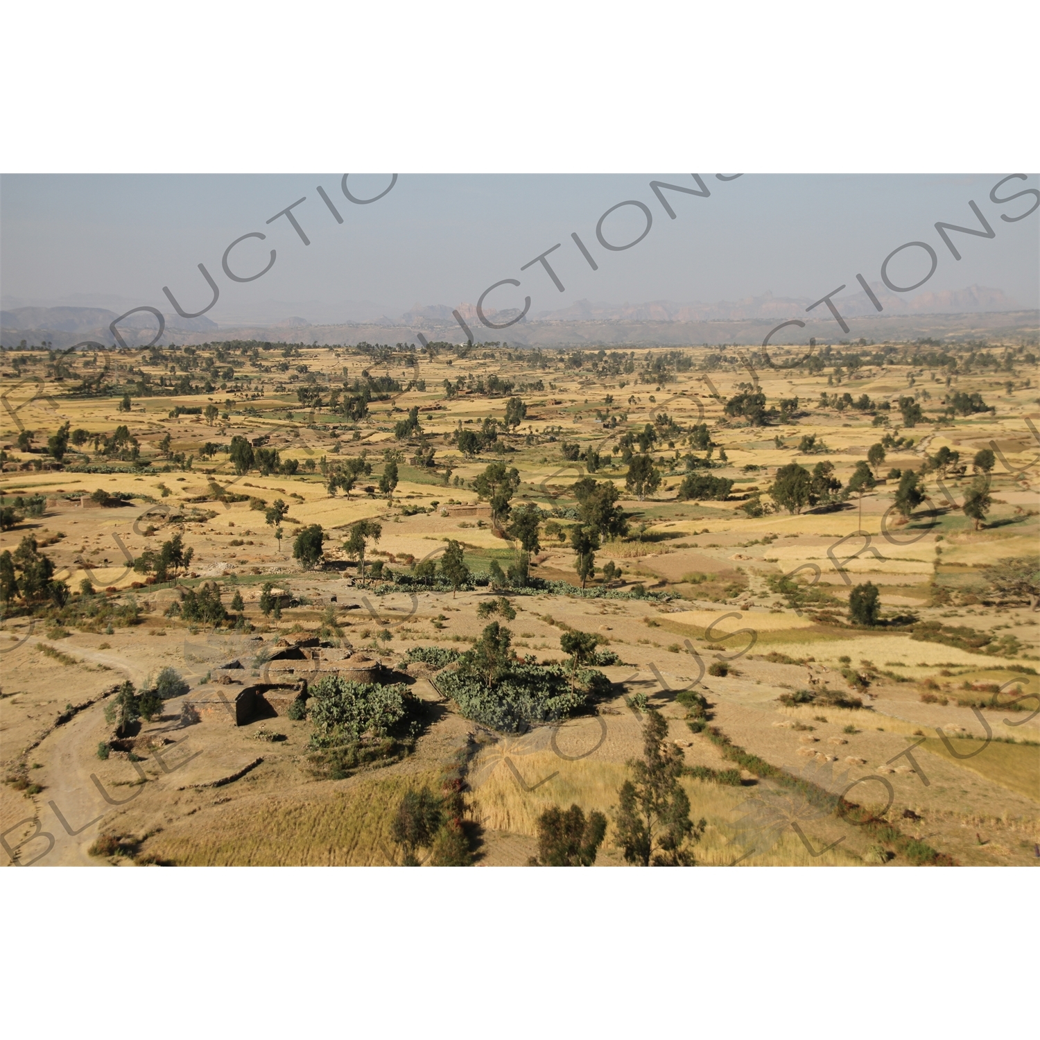 Countryside around Debre Damo