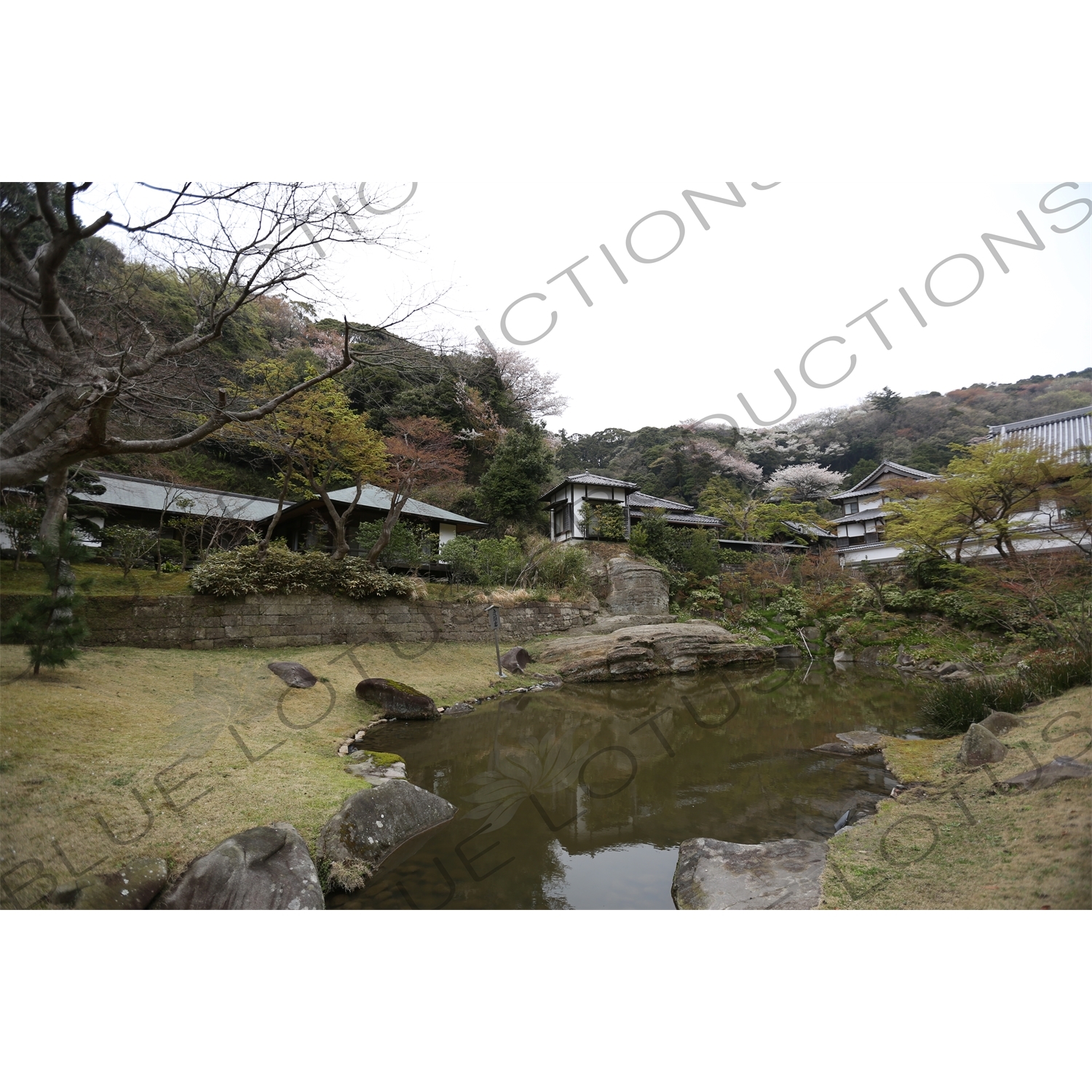 Pond and Temple Buildings in Engaku-ji in Kamakura