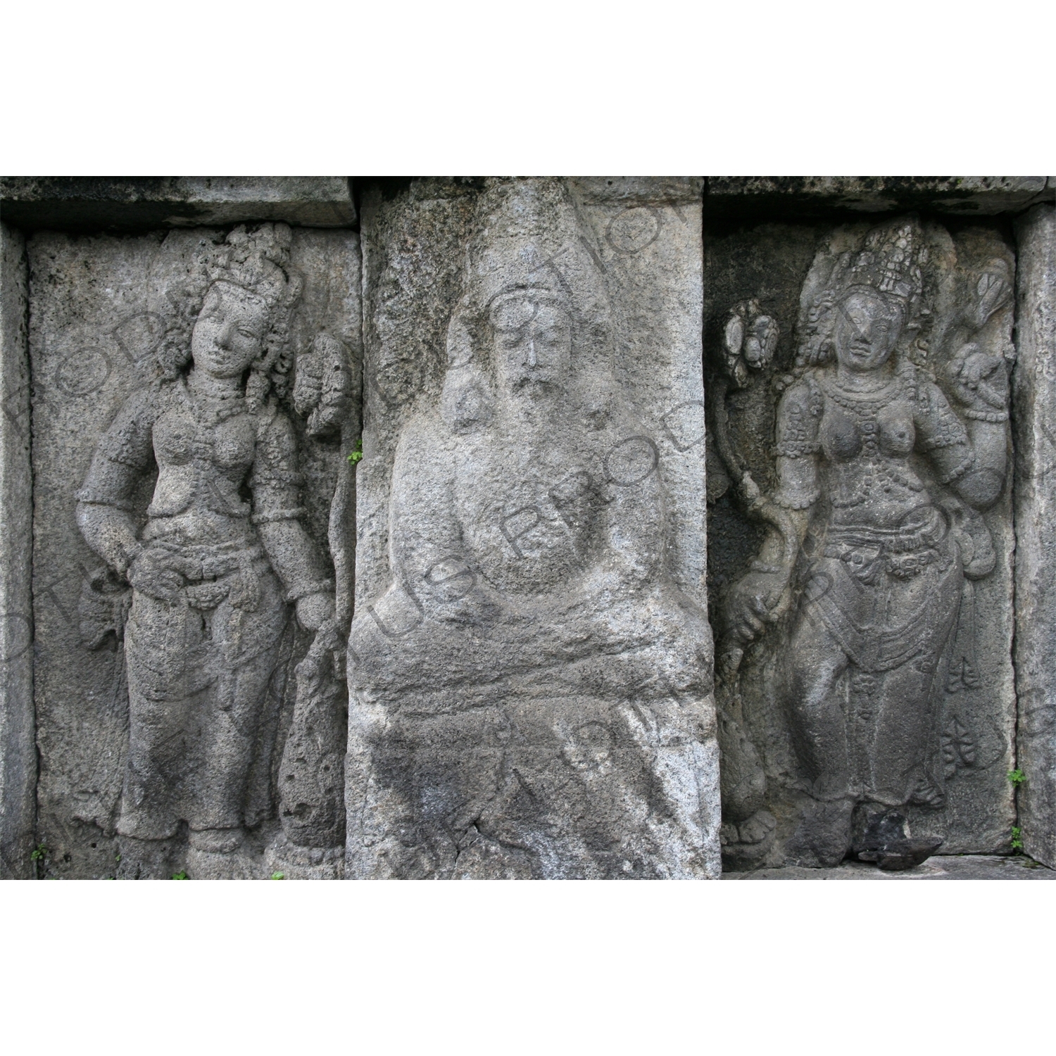 Relief Carvings on a Building at Prambanan Temple Compound near Yogyakarta