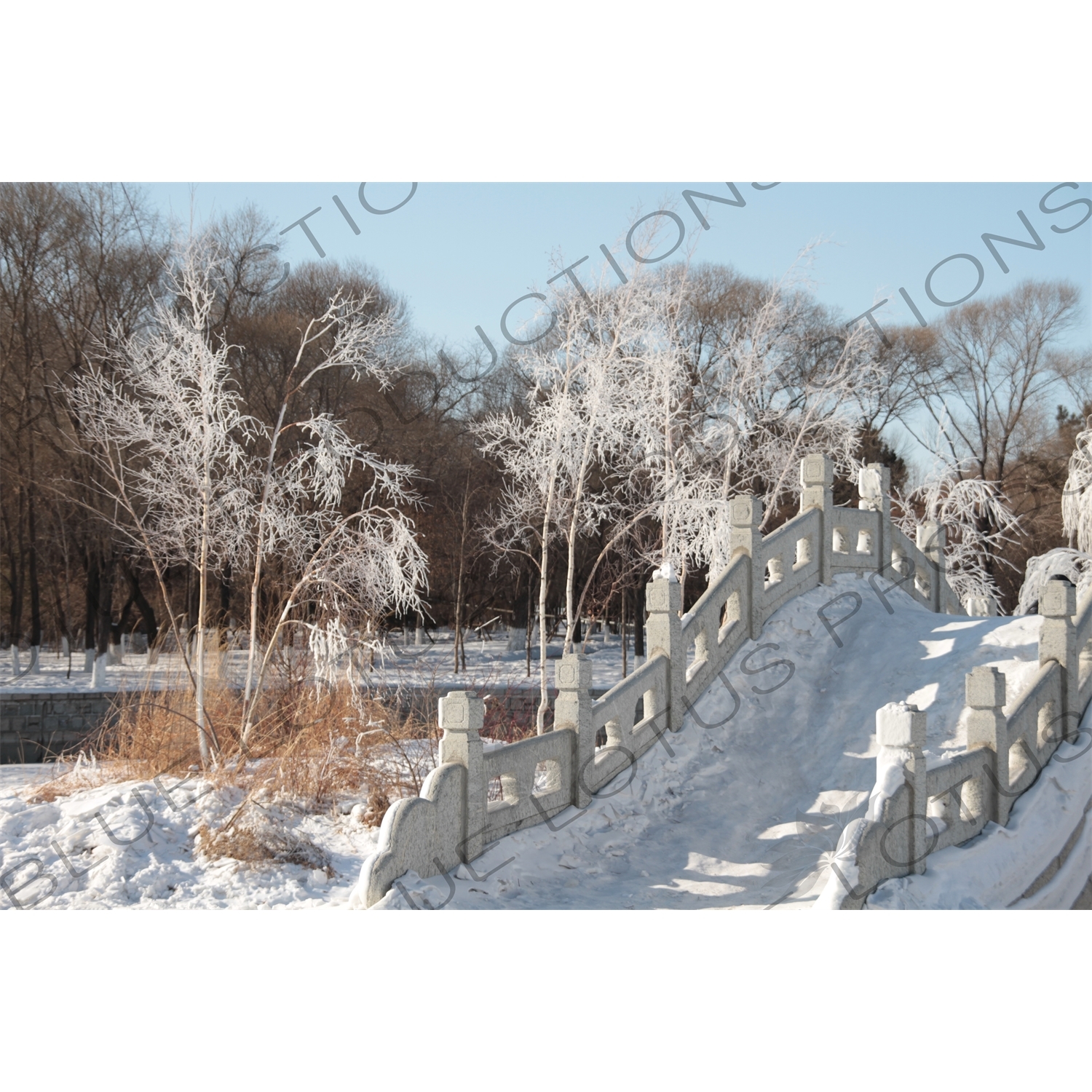 Chinese Style Arched Bridge in the Sun Island Scenic Area (Taiyang Dao) in Harbin