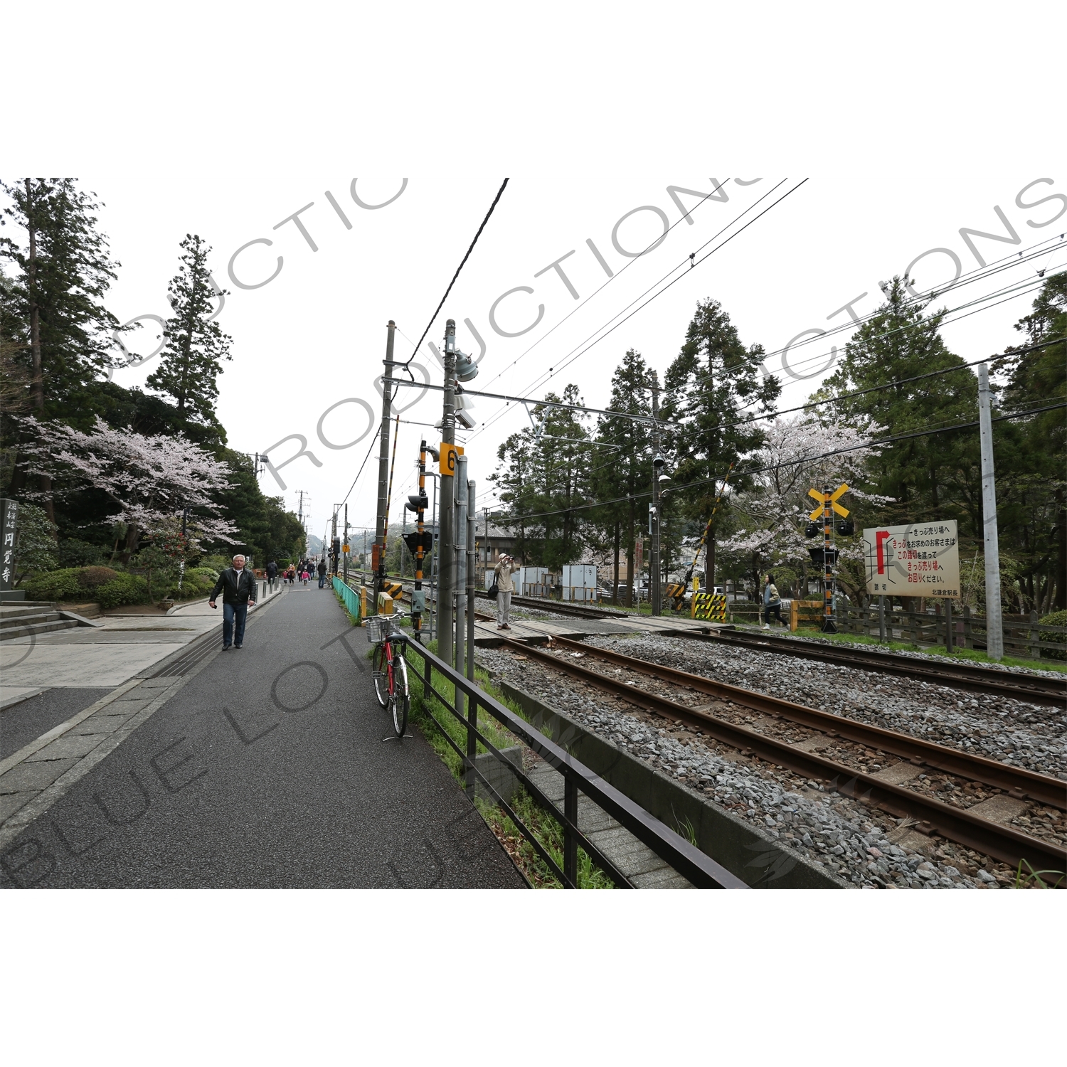 Train Tracks in Kamakura