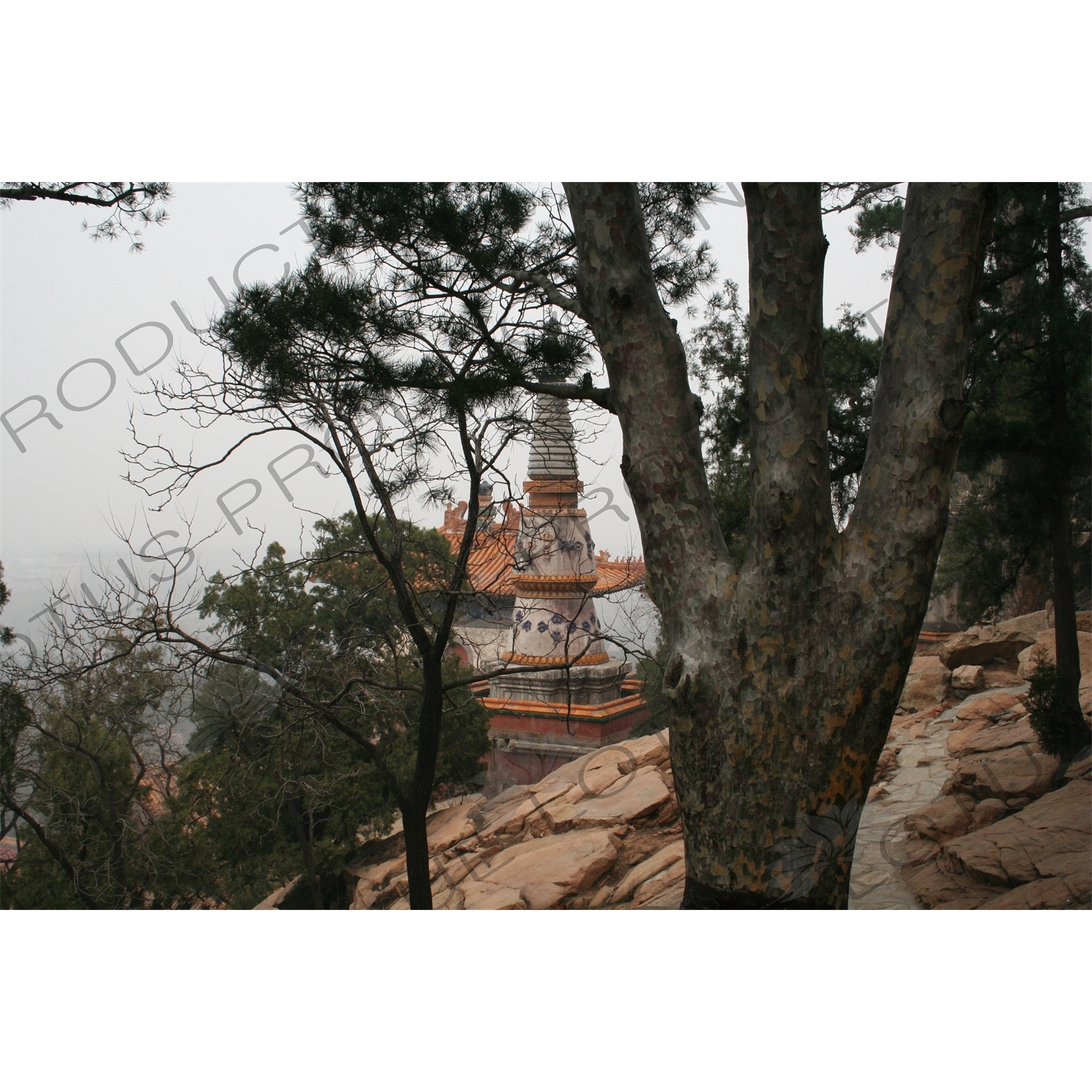 Four Great Regions (Sidabuzhou) on the North Slope of Longevity Hill (Wanshou Shan) in the Summer Palace in Beijing