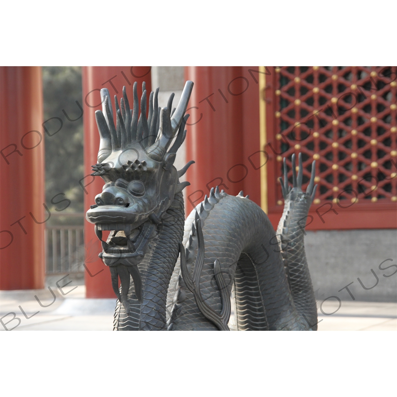 Bronze Dragon Statue outside the Hall of Benevolence and Longevity (Renshoudian) in the Summer Palace in Beijing