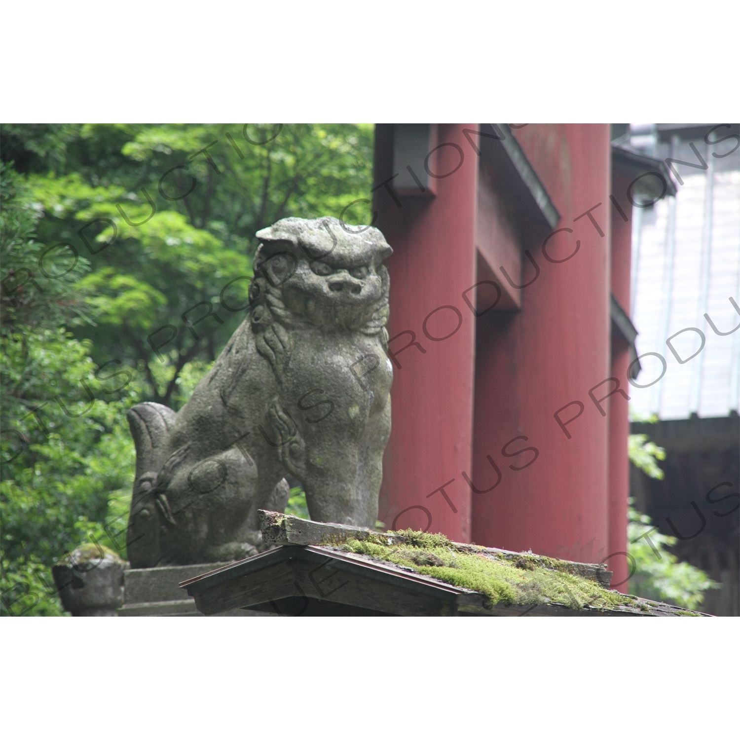 Lion Statue at Fujiyoshida Sengen Shrine in Fujiyoshida