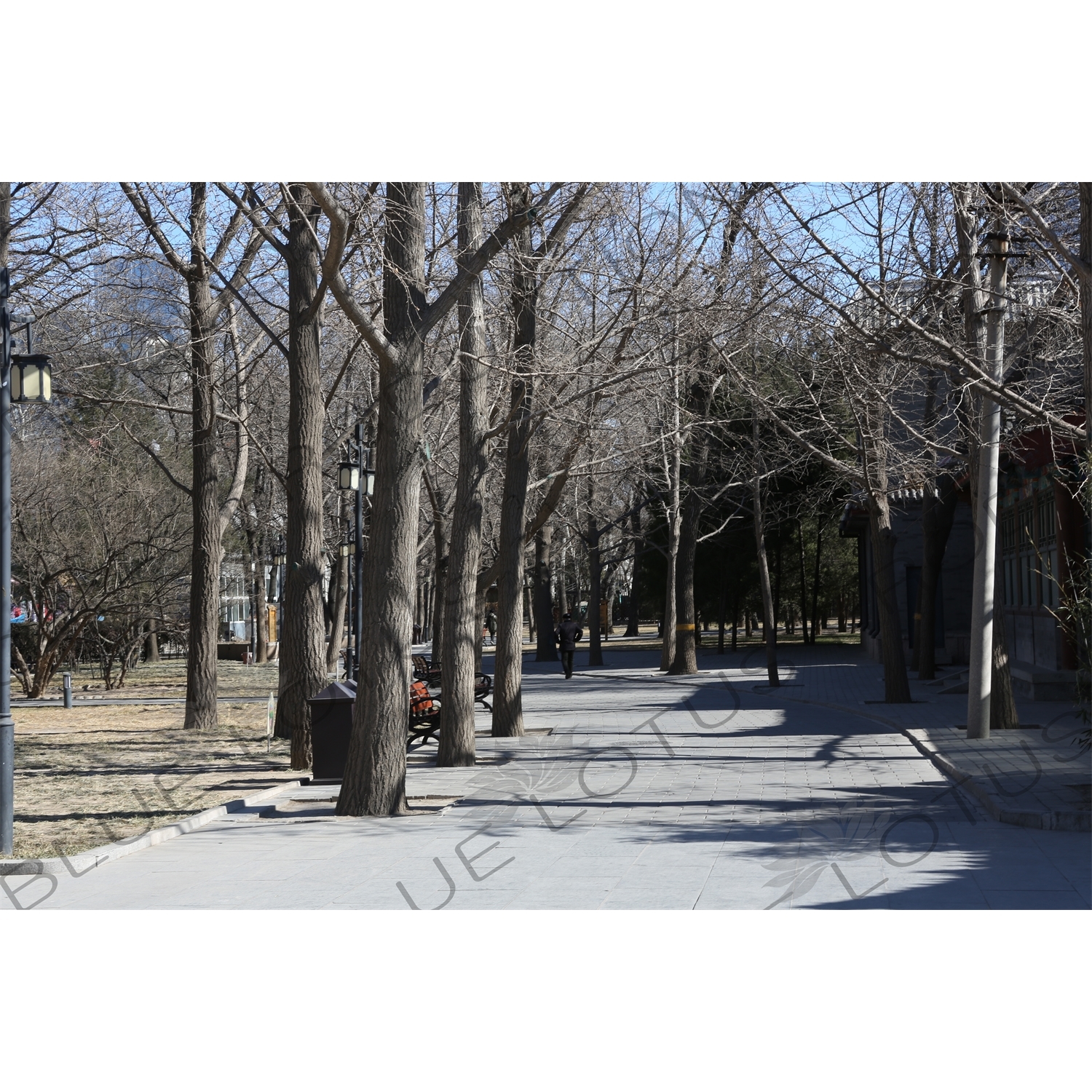 Temple of the Sun Park (Ritan Gongyuan) in Beijing