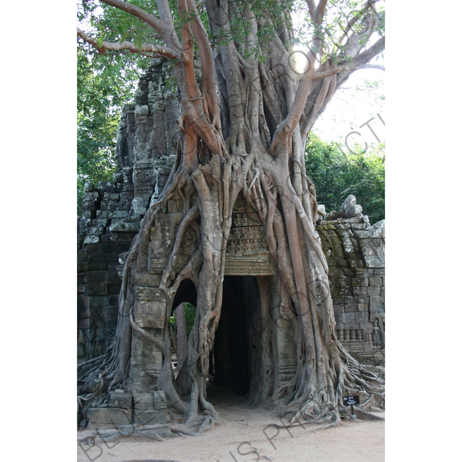 Ta Som in Angkor Archaeological Park