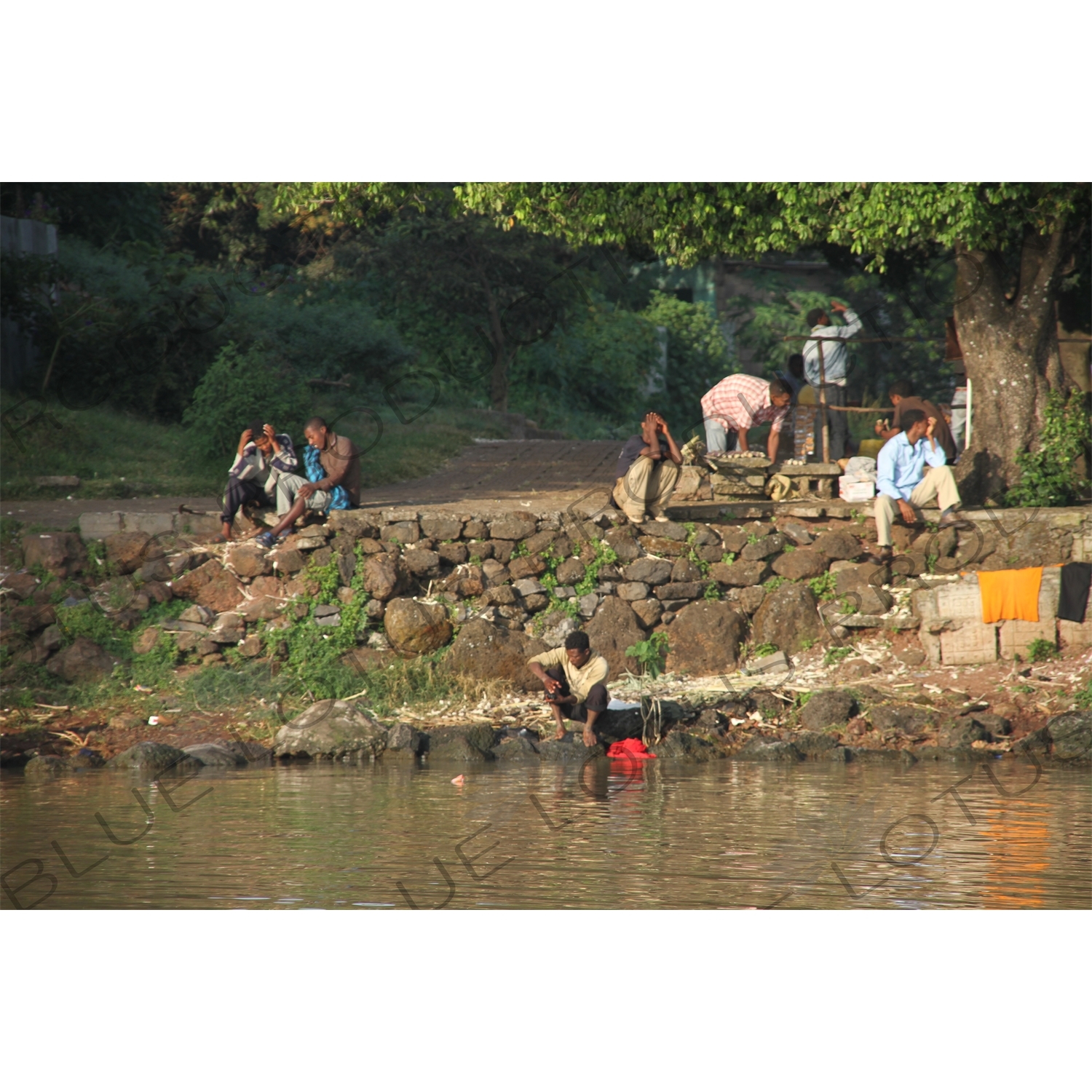 Bank of Lake Tana