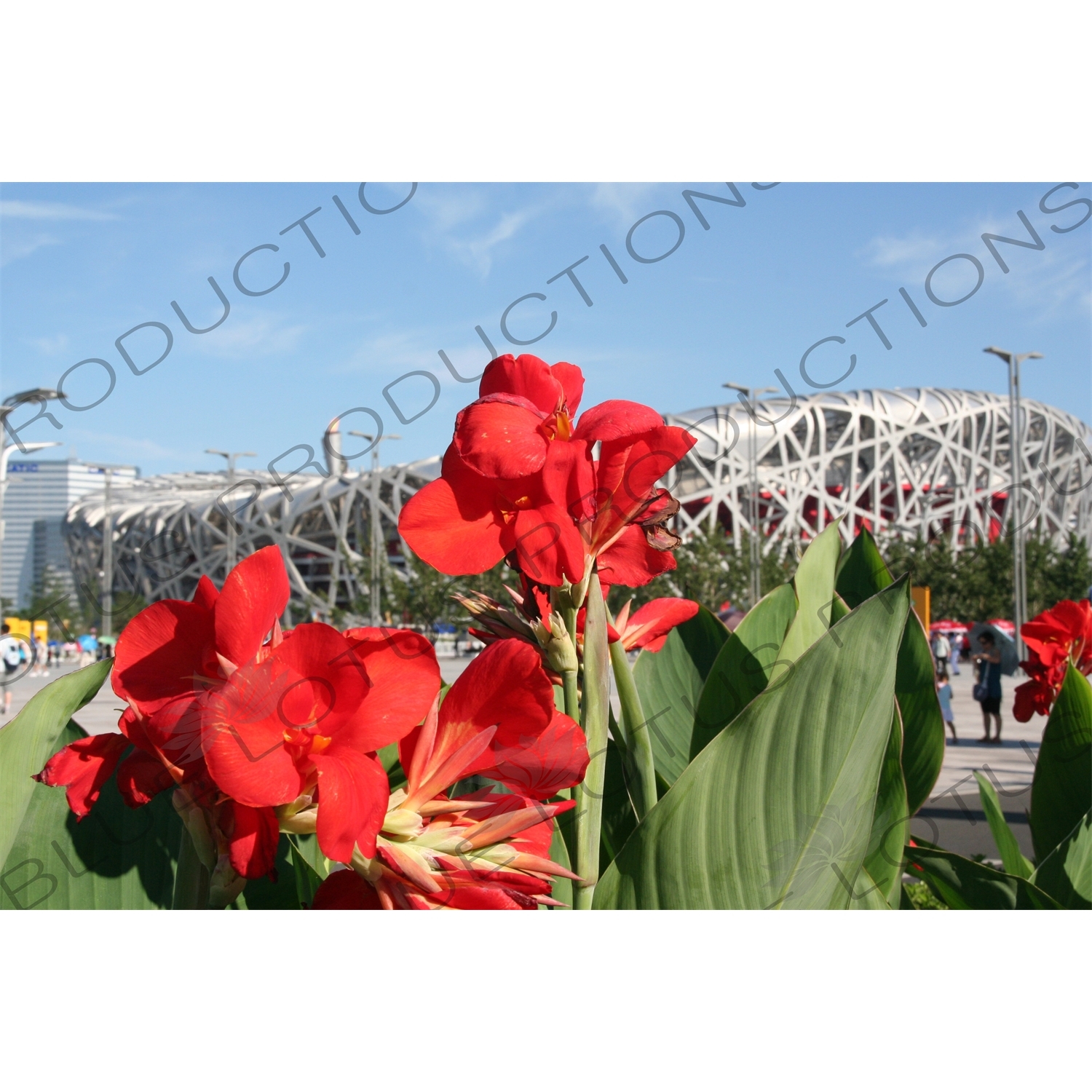 Flower with the Olympic flame and the Bird's Nest/National Stadium (Niaochao/Guojia Tiyuchang) in the Background in the Olympic Park in Beijing