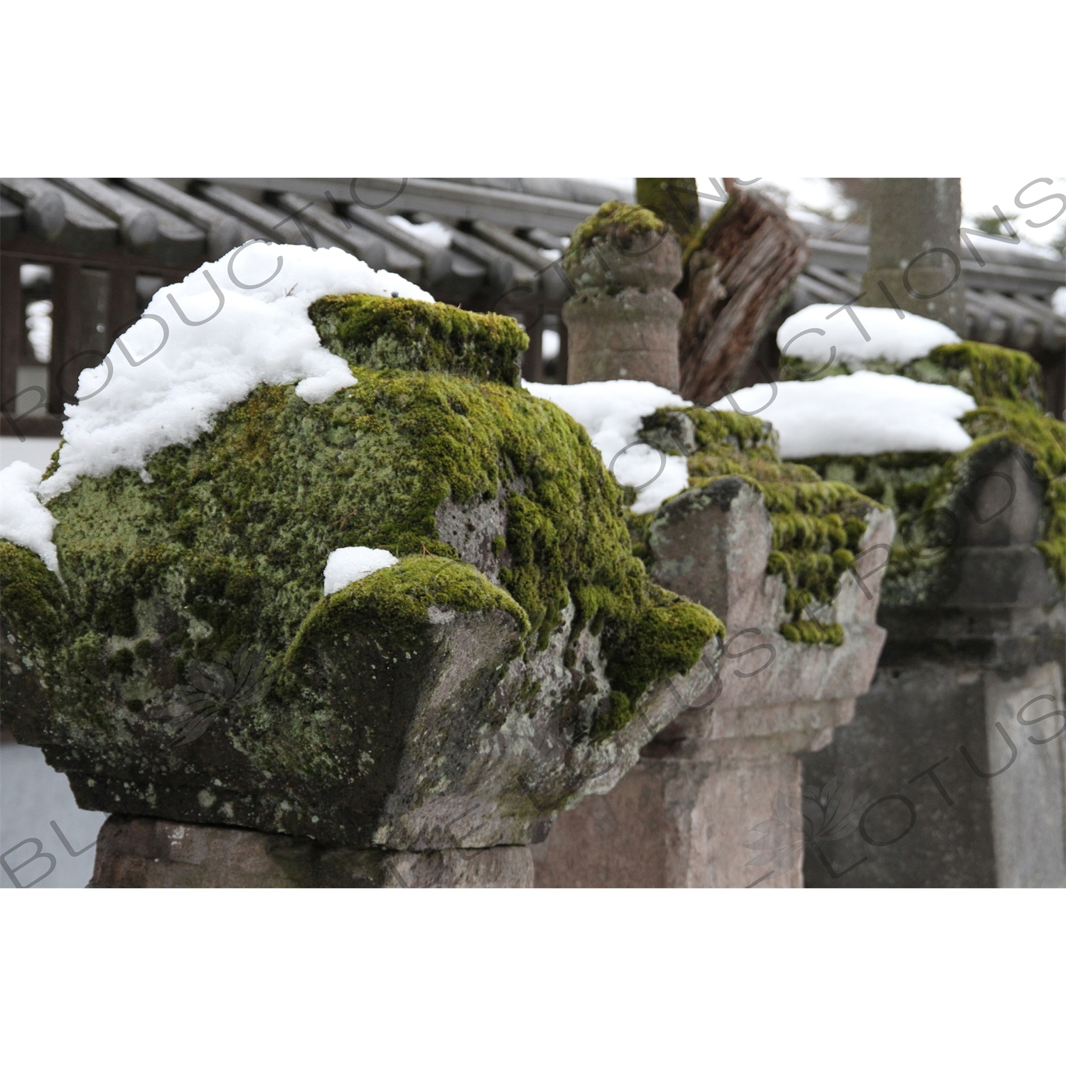 Moss Covered Stone Pillars in Zenko-ji in Nagano