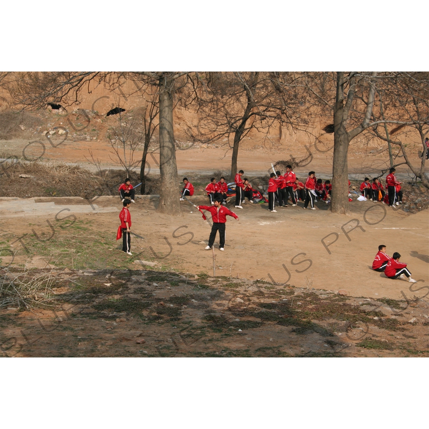 Students Practicing at the Shaolin Temple in Dengfeng