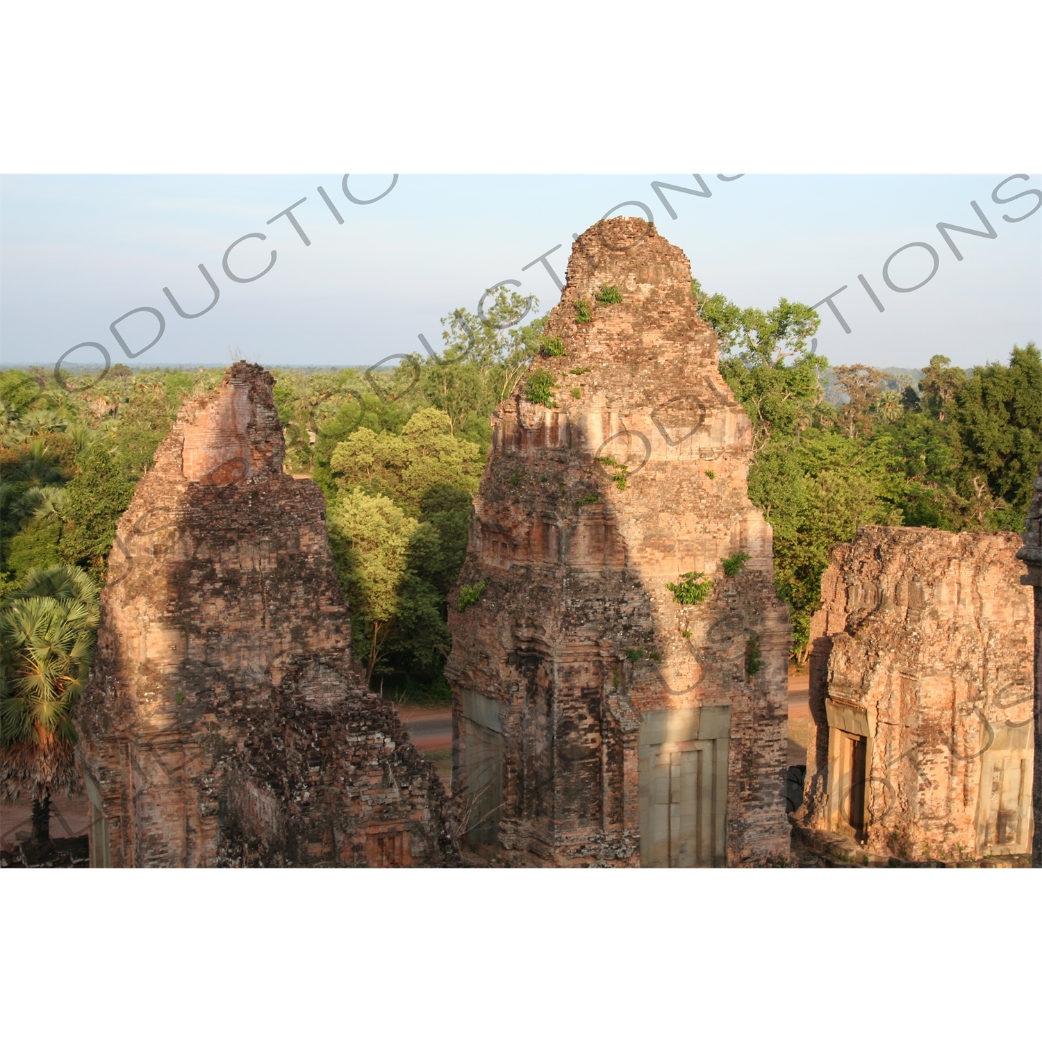 Jungle around Pre Rup in Angkor Archaeological Park