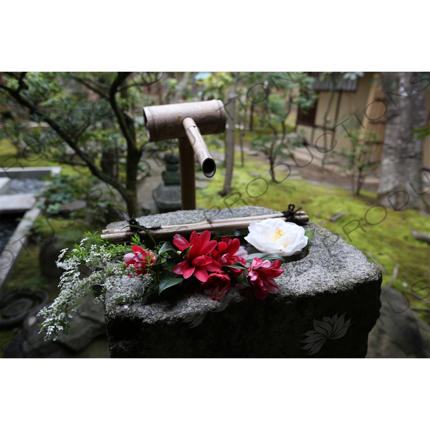 Bamboo Fountain in Korin-in in the Daitoku-ji Complex in Kyoto