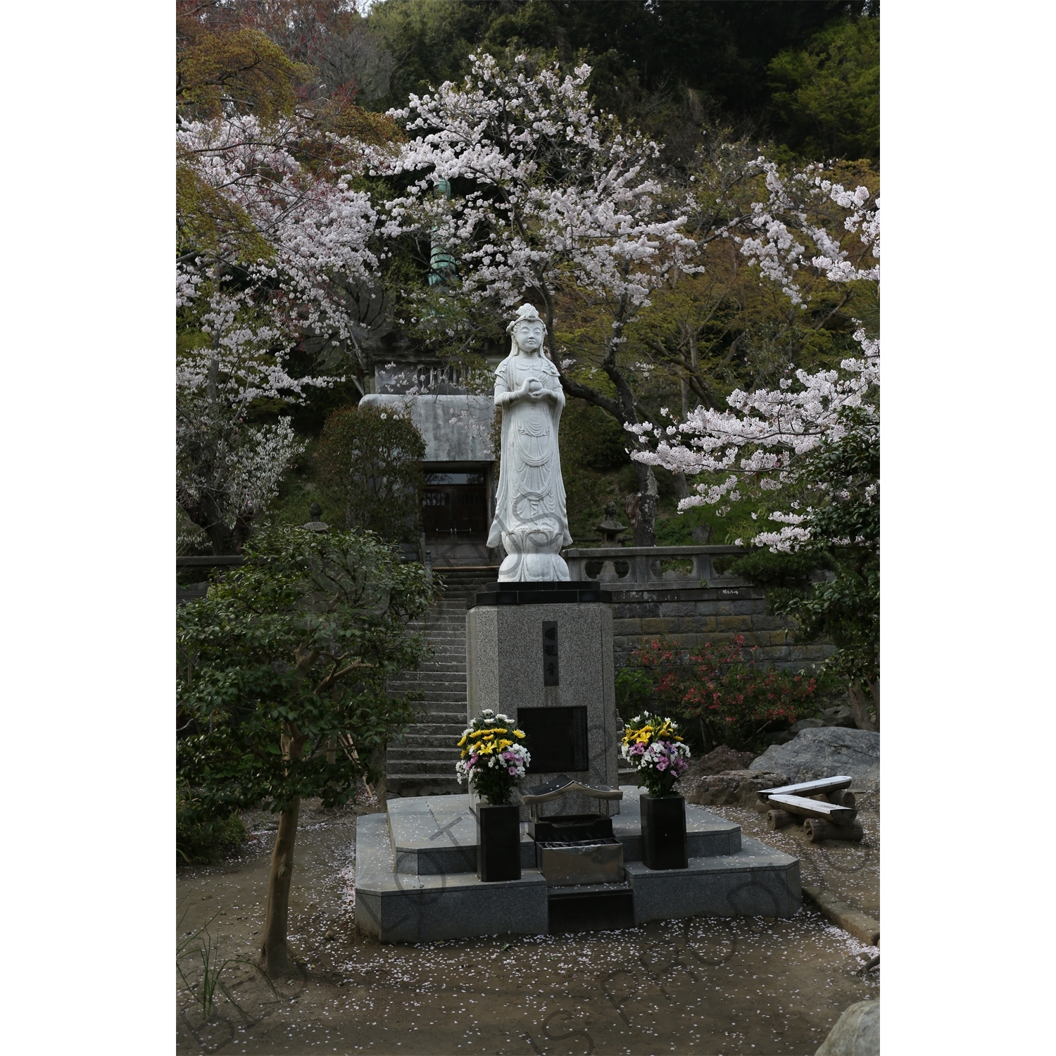 Statue of Guanyin/Kannon in Kencho-ji in Kamakura