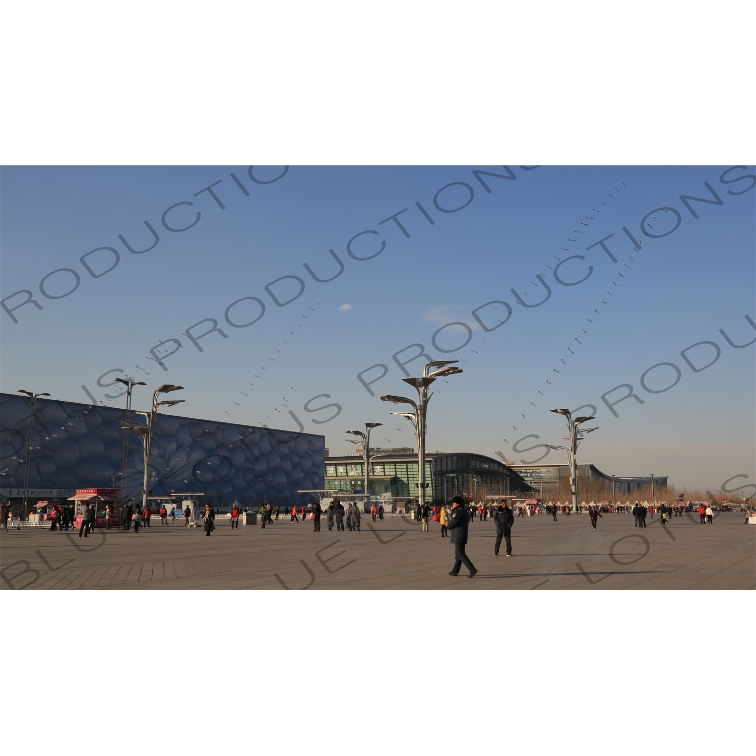 Kites Flying in front of the Beijing National Aquatics Centre/Water Cube and the Beijing National Indoor Stadium/The Fan in the Olympic Park in Beijing