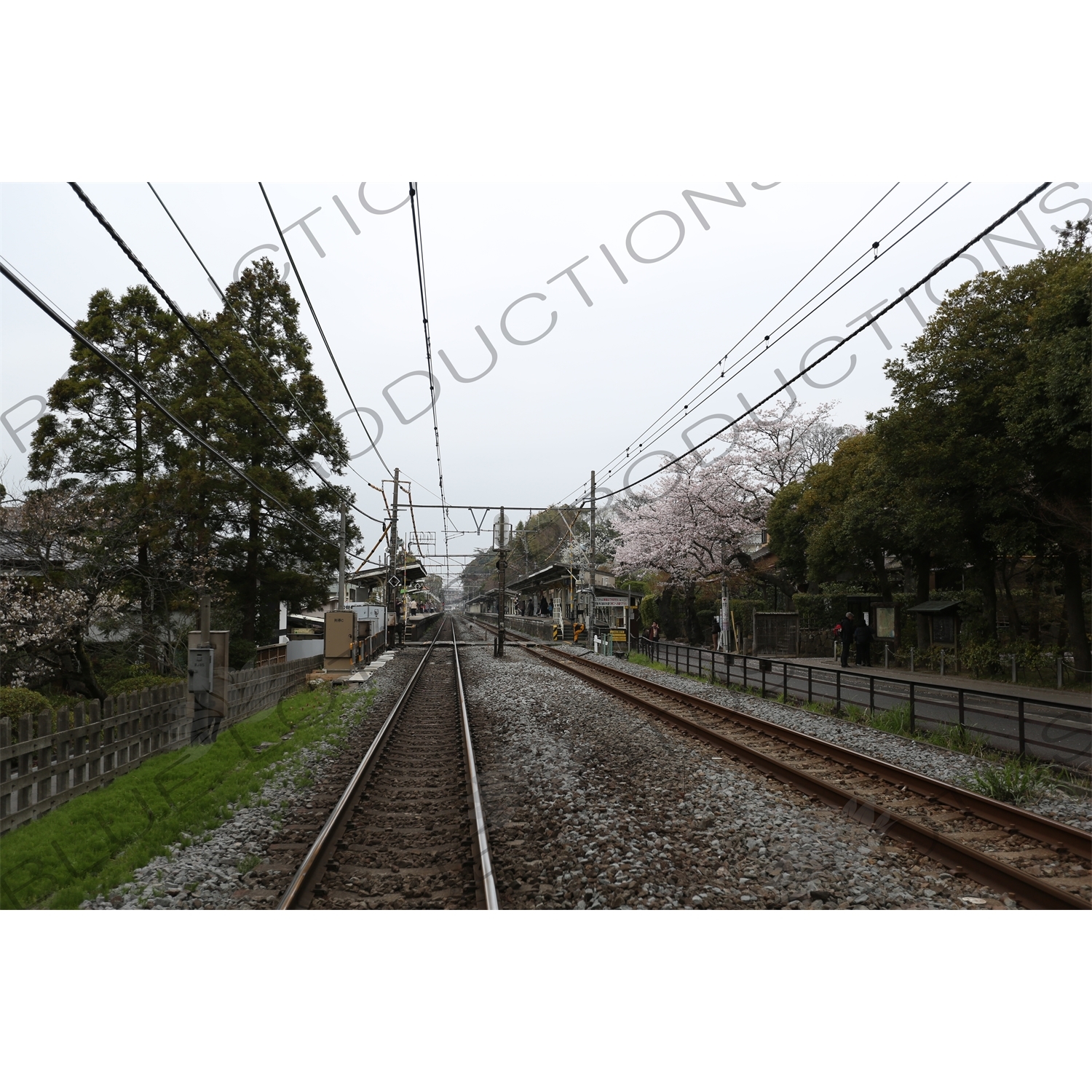 Train Tracks in Kamakura