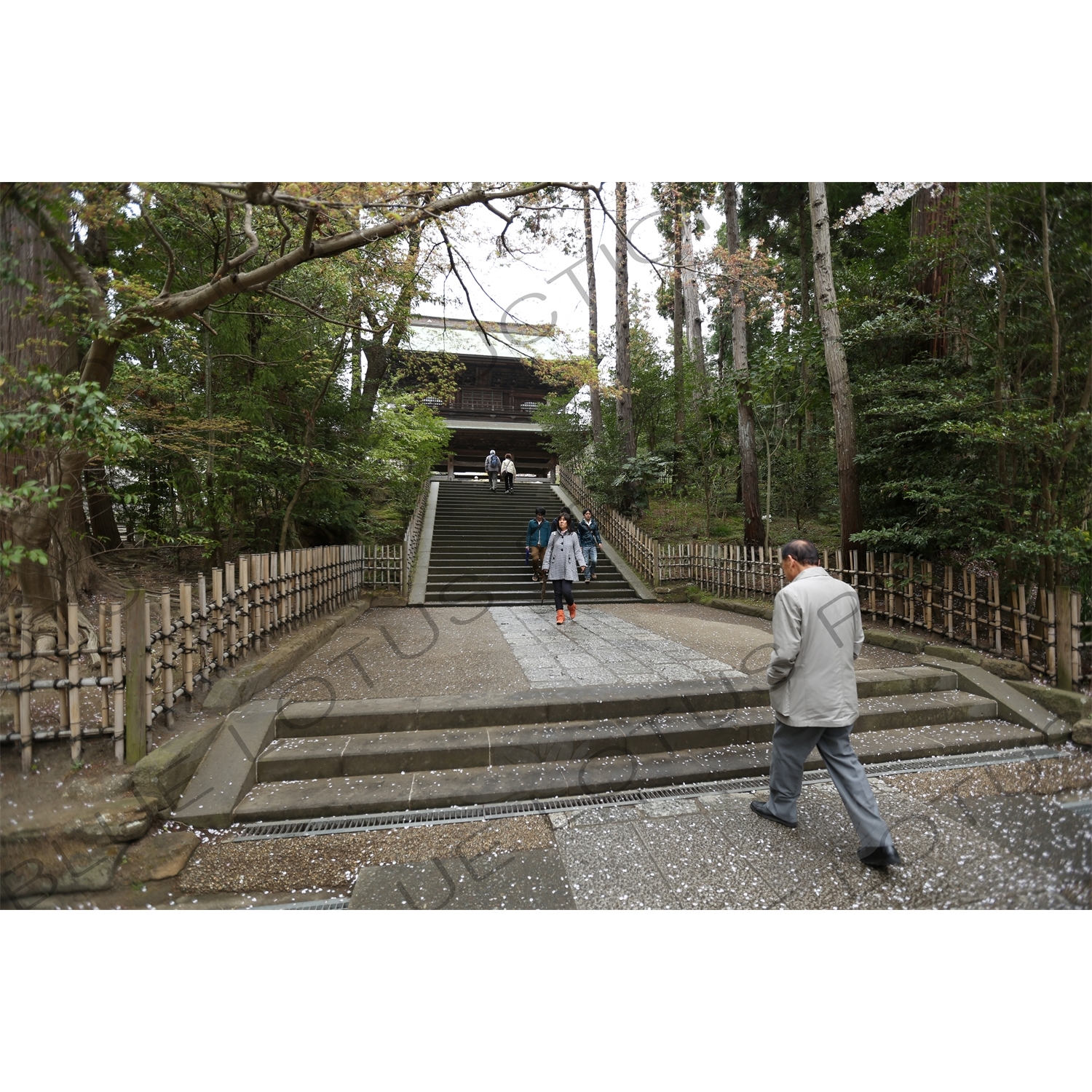 Stairs Leading to the Sanmon of Engaku-ji in Kamakura