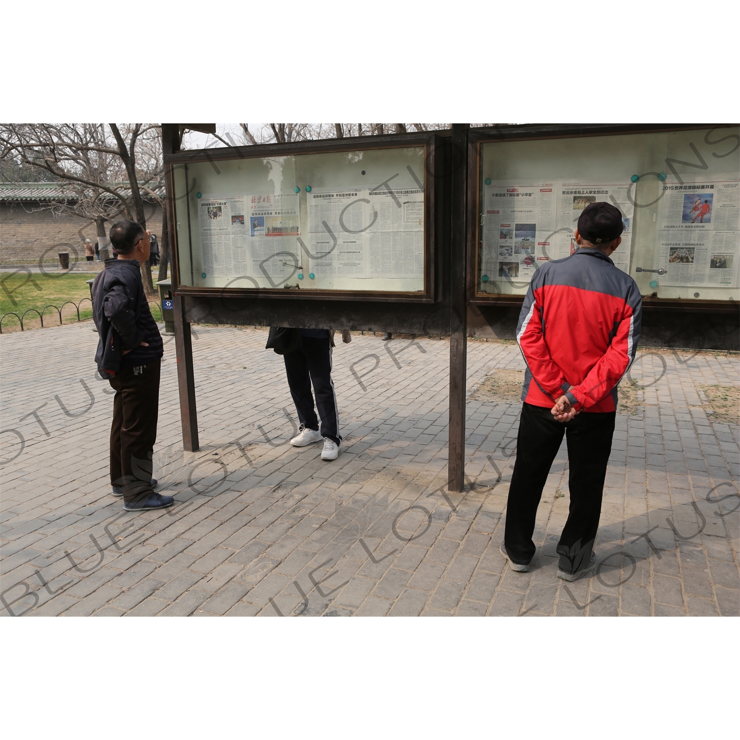 People Reading Communal Newspapers near the North Gate of the Temple of Heaven (Tiantan) in Beijing