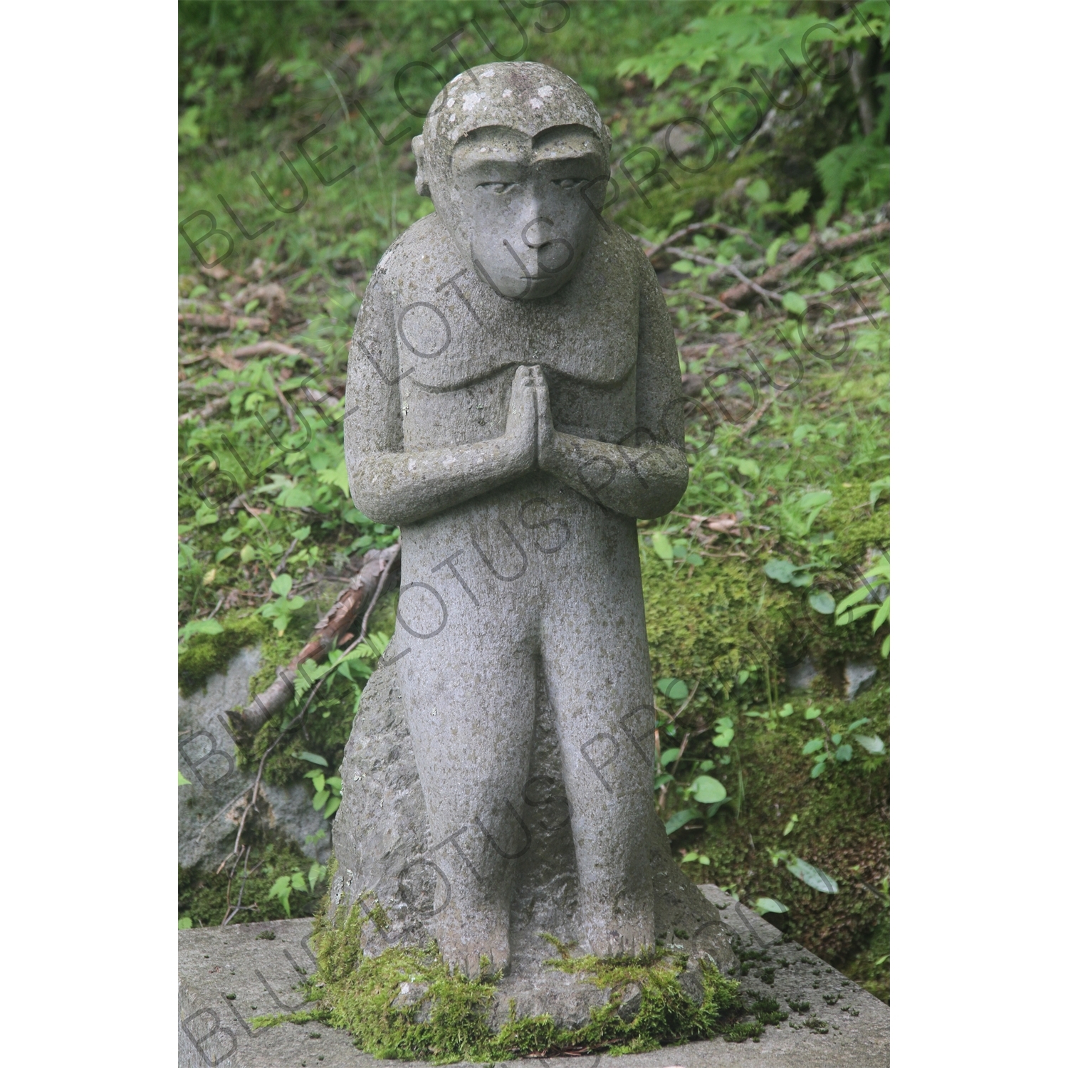 Monkey Statue on the Yoshida Trail on Mount Fuji