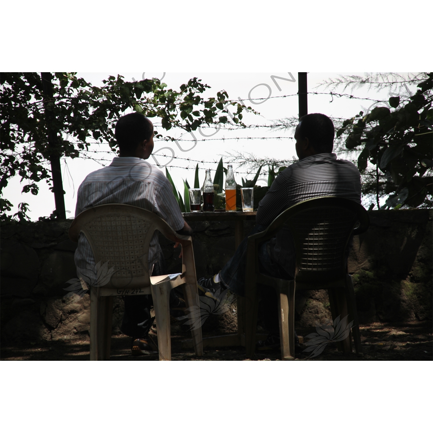 Men Drinking Sodas by Lake Tana