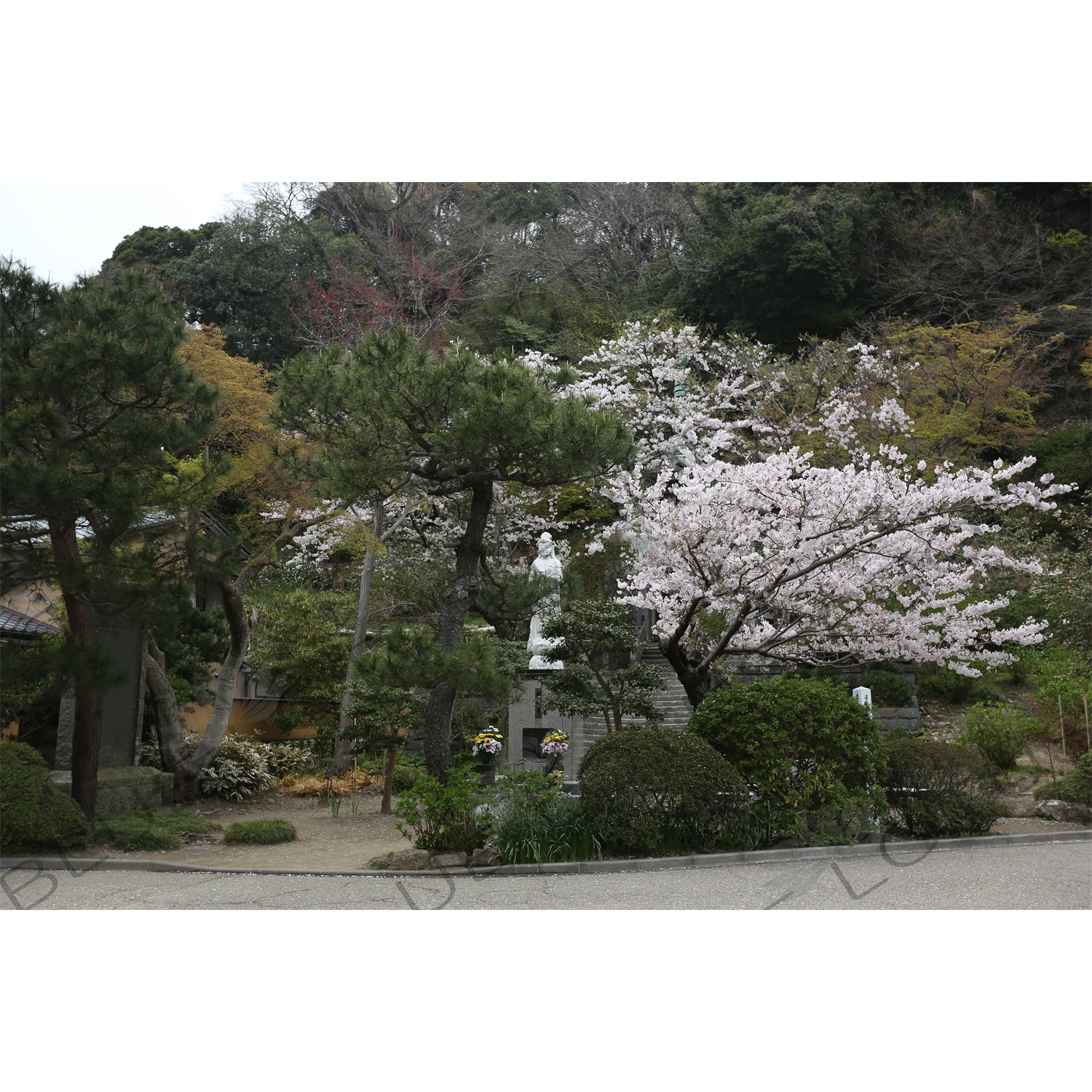 Statue of Guanyin/Kannon in Kencho-ji in Kamakura