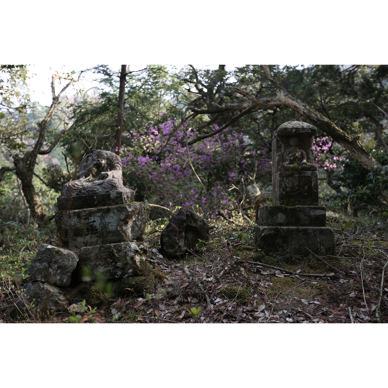 Buddhist Statues on Mount Daishi