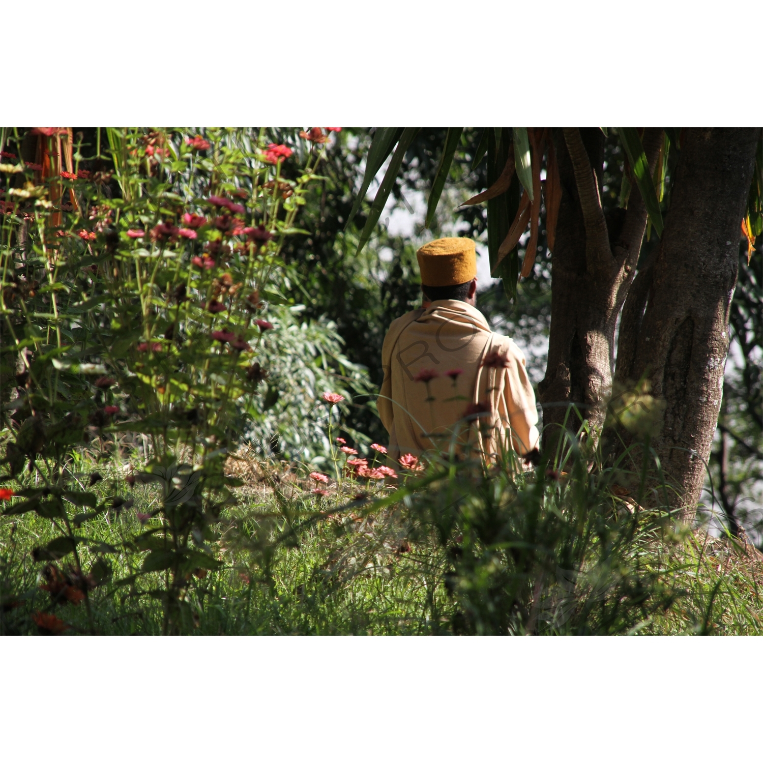 Priest in Gardens next to Lake Tana