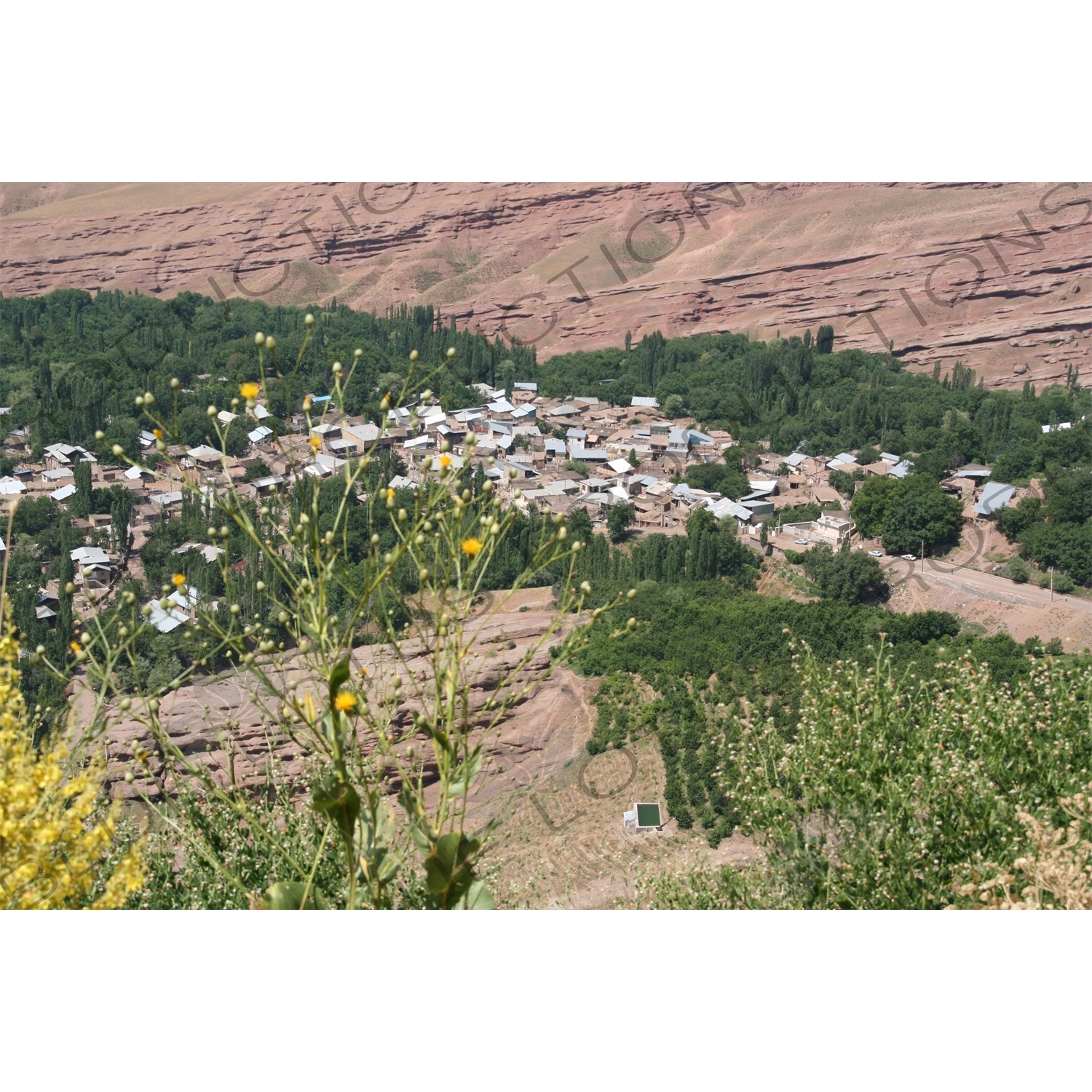 Village of Gazorkhan near Alamut Castle