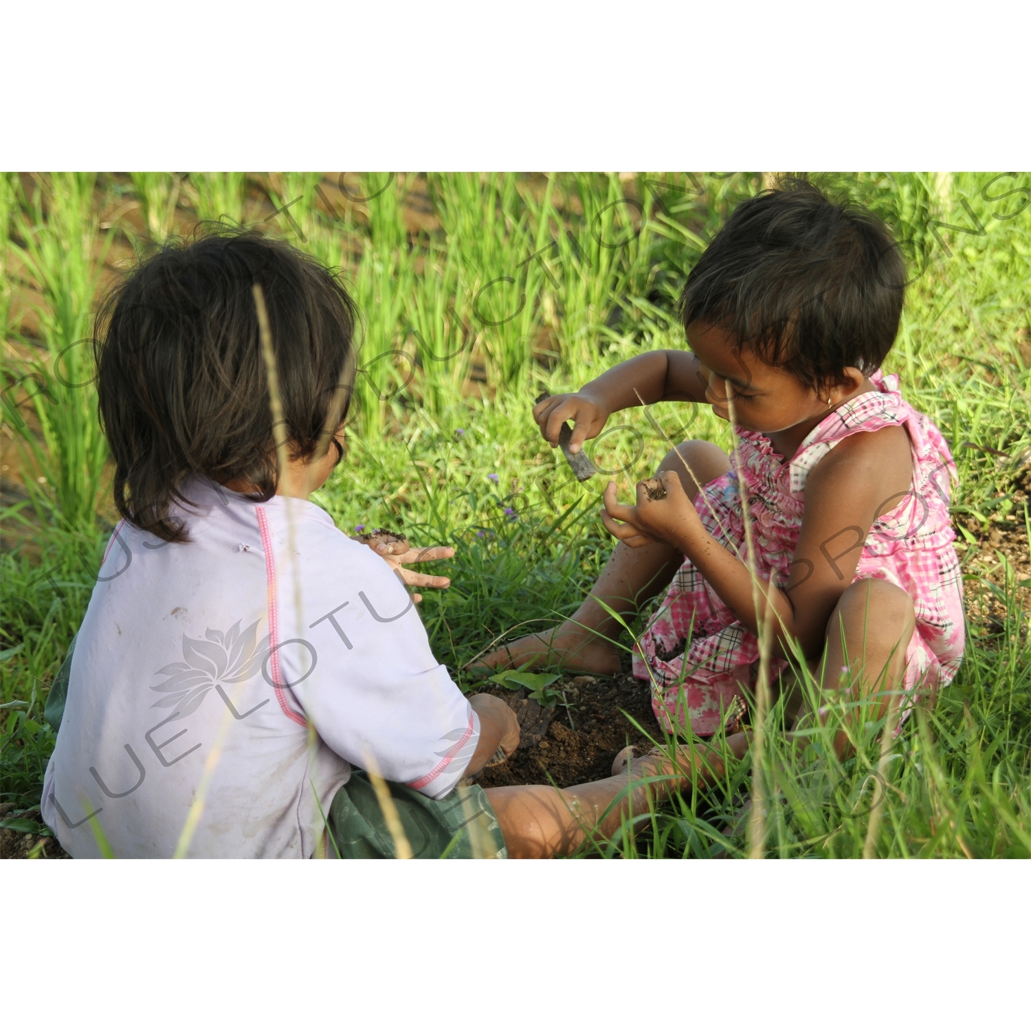 Children Playing in a Paddy Field in Bali