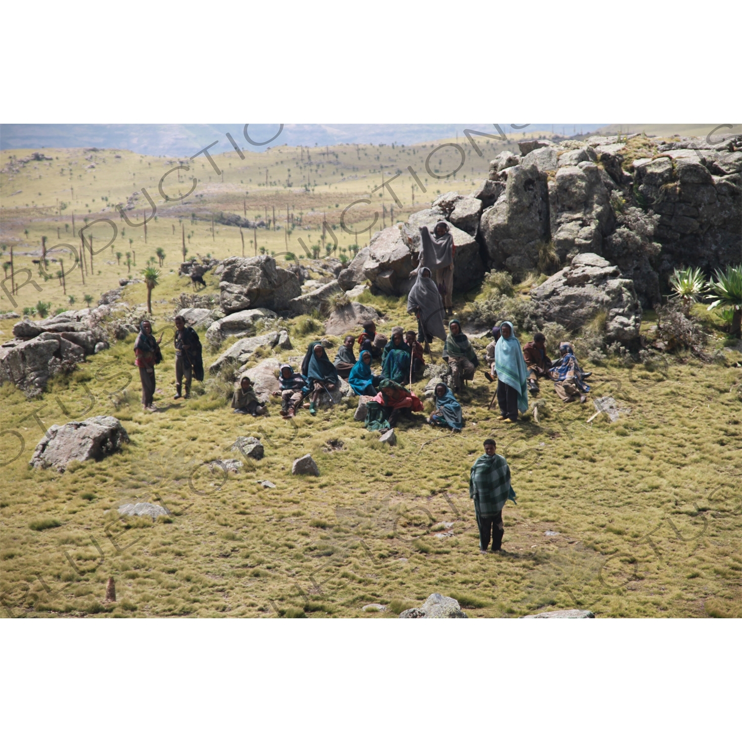 Children in Simien Mountains National Park