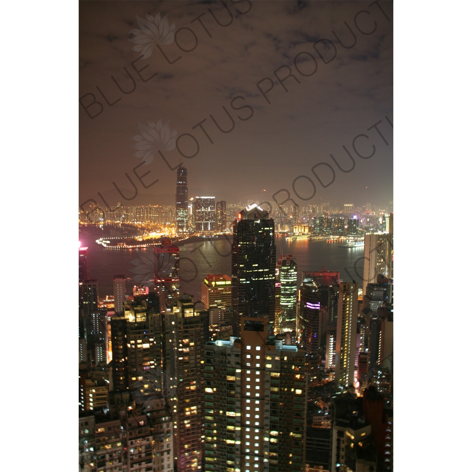 Hong Kong Island and Kowloon from Victoria Peak