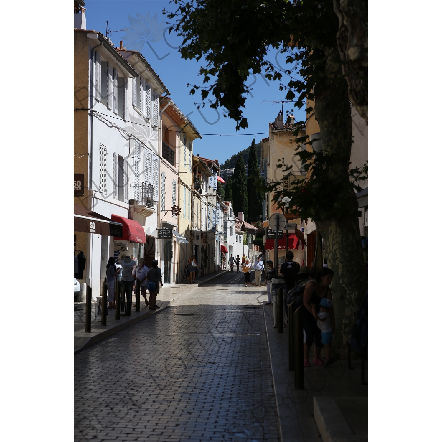 Street in Cassis