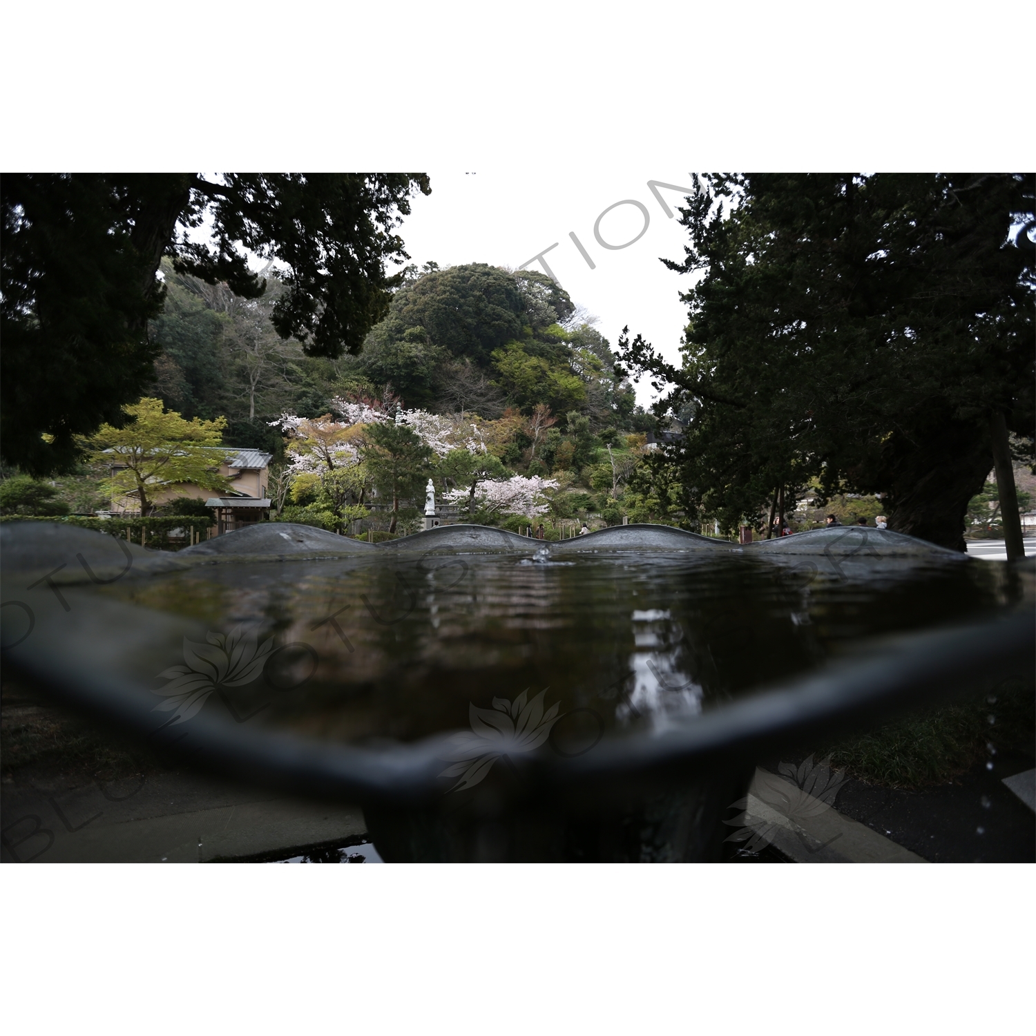 Fountain in Kencho-ji in Kamakura