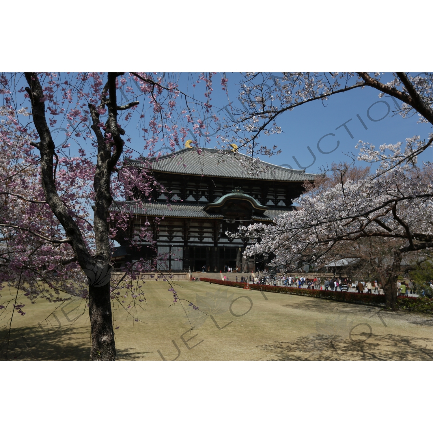 Big Buddha Hall (Daibutsuden) of Todaiji in Nara