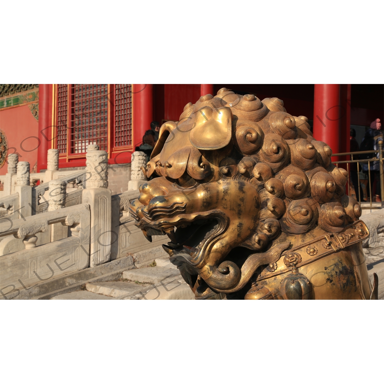 Guardian Lion Statue in front of the Gate of Heavenly Purity (Qianqing Men) in the Forbidden City in Beijing