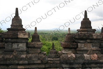 Jungle around Borobudur