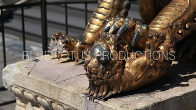 Bronze Guardian Lion (Shi) outside the Gate of Heavenly Purity (Qianqing Men) in the Forbidden City in Beijing