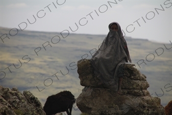 Child and Goat in Simien Mountains National Park