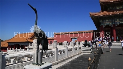 Crane and Turtle/Tortoise Statues in front of the Hall of Supreme Harmony (Taihe Dian) in the Forbidden City in Beijing