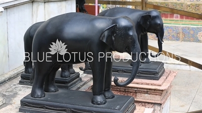 Elephant Statues at the Emerald Temple/Chapel (Wat Phra Kaew) at the Grand Palace (Phra Borom Maha Ratcha Wang) in Bangkok