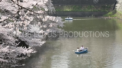 Tokyo Imperial Palace (Kokyu) Chidorigafuchi Moat Row Boats