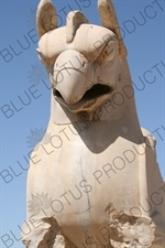 Double Headed Griffin Protome Capital at Persepolis