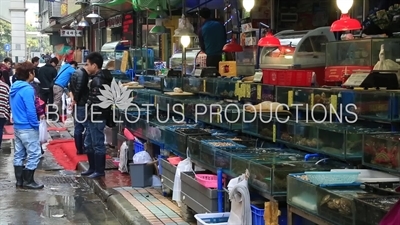 Huangsha Aquatic Products Wholesale Market (Huangsha Shuichan Jiaoyi) in Guangzhou