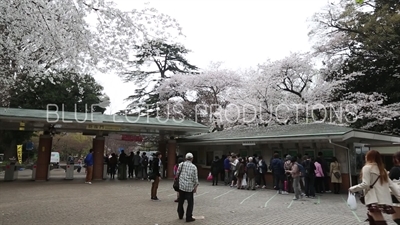 Shinjuku Gyoen National Park Entrance in Tokyo