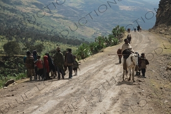 Road in Simien Mountains National Park