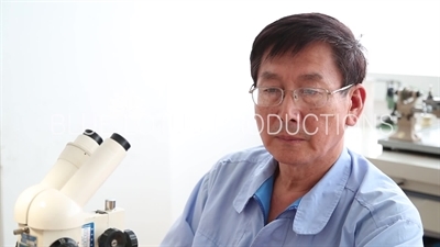 Tianjin 'Sea Gull Watch Group' Factory