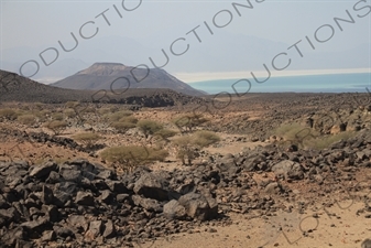 Hills and Volcanic Rock around Lake Assal in Djibouti